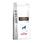 GASTRO INTESTINAL JUNIOR ROYAL CANIN