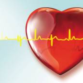 Exame Eletrocardiograma 