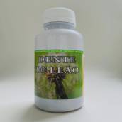Dente de Leão em cápsulas 500mg 