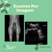 Exames de Imagem Veterinários