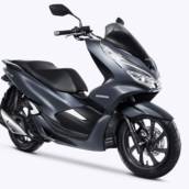 PCX  150 ABS