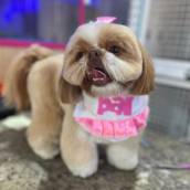 ✨ Tosa Padovan ✨
Mais delicada, personalizada e cuidadosa, realça a beleza natural do seu pet e mantém o pelo saudável. ?✂️
Ideal para quem busca acabamento perfeito, conforto e muito charme para o seu melhor amigo. ?