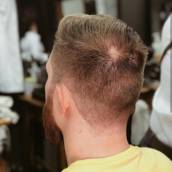 Corte