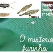 DESINSETIZAÇÃO INSETOS