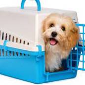 Caixa de Transporte para Cachorros