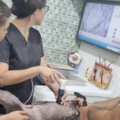 exame específico para visualização de  alterações na pele