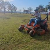 Serviços de Roçada e Aplicação de Herbicidas – Souza Jardinagem em Santa Cruz do Rio Pardo