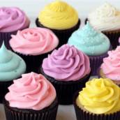 Mini Cupcake 