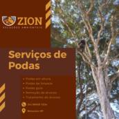 Serviços de poda de árvore em altura e jardinagem