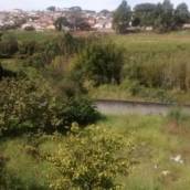 Terreno Giardino