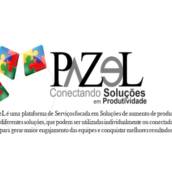 Pazel Soluções em Produtividade