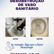 Desobstrução de vaso sanitário e mictório 