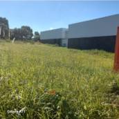 Terreno para venda Jardim Palmares