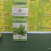 Hortelã-pimenta