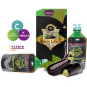 Berin Life 500ml - Suco da berinjela