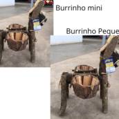 Burrinho de Madeira 