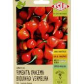 semente pimenta iracema biquinho vermelho