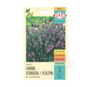 semente multi lavanda alfazema verdadeira 