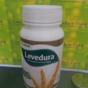 Levedura- Probene