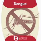 Dengue