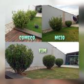 Pequenas Podas  em São Lourenço da Serra, SP por Vgs Jardinagem