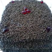 Bolo Brigadeiro