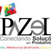 Pazel Soluções em Produtividade