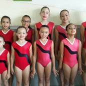 Aulas de Ginástica Artística 