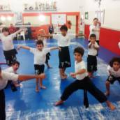 Aulas de Kung Fu