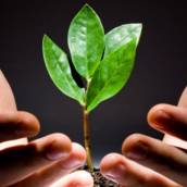 Pós Graduação EAD em Gestão Ambiental para Educadores