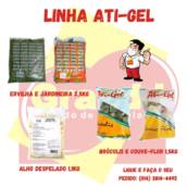 ALHO, COUVE FLOR, BROCOLIS ,ERVILHAS E JARDINEIRAS