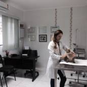 Clínica Veterinária