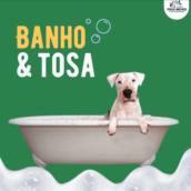 Banho e Tosa