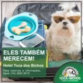 Hotel para Cães