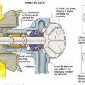 Bomba Dagua