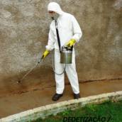 Dedetização contra pulgas em Ibirarema