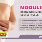 Modulip GC