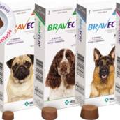 Bravecto 