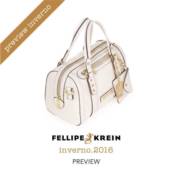 Bolsa Fellipe Krein