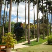 TE0106 / Village das Palmeiras
