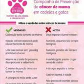 Verdades e Mitos!