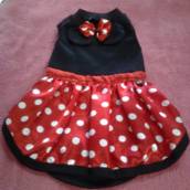 Roupa para Pets