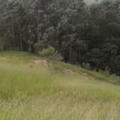 Terreno à venda em Resid. Country Club - TE 01015th