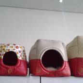 Toquinhas pet 