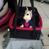 Cadeiras de transporte pet 