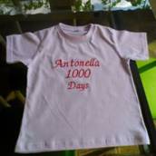 Camiseta bordada
