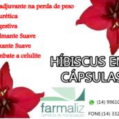hibiscus em cápsulas