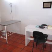 Clínica Veterinária Gato.Cão