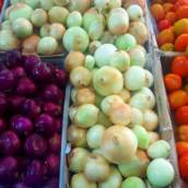 Tomate e Cebola
