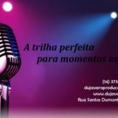 Quarteto de Músicos em Avaré